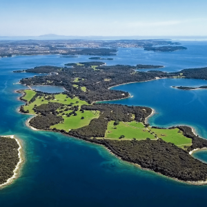 Excursion to Briuni - Enjoy the beauty of the most beautiful national park